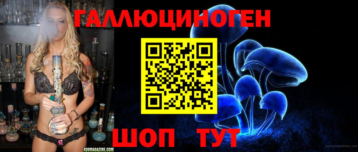 даркнет сайт  Галлюциногенные грибы Psilocybine cubensis  Йошкар-Ола  Вход с VPN  Галлюциногенные грибы Psilocybe 